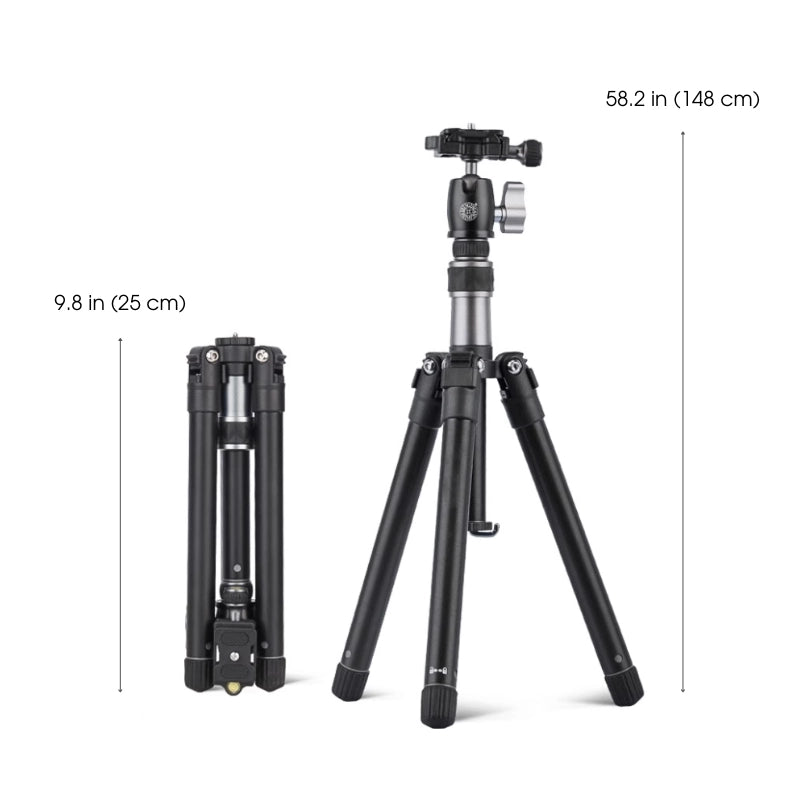 ArtMate - Handgjort konstset i valnöt (Mästarutgåva)